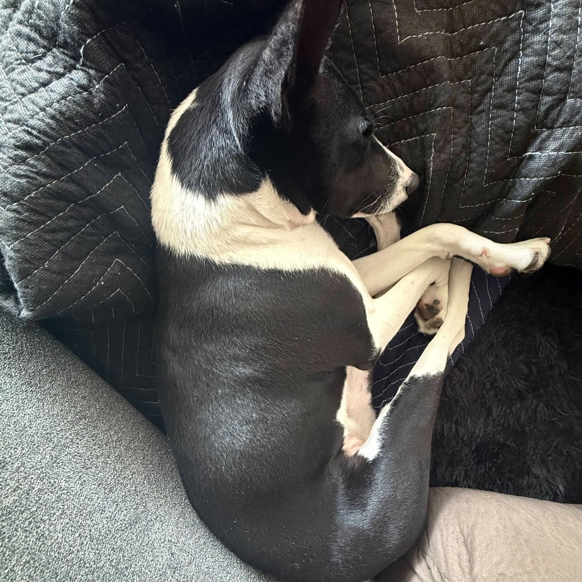 Executive power nap.